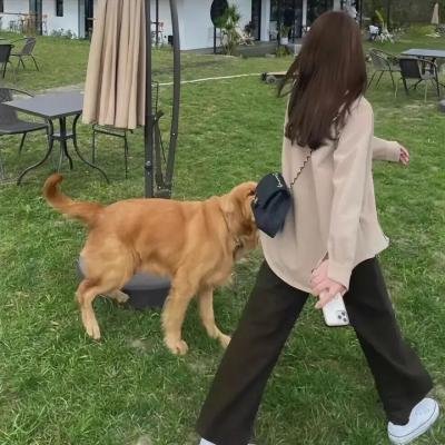 惊慌失色之诡寓