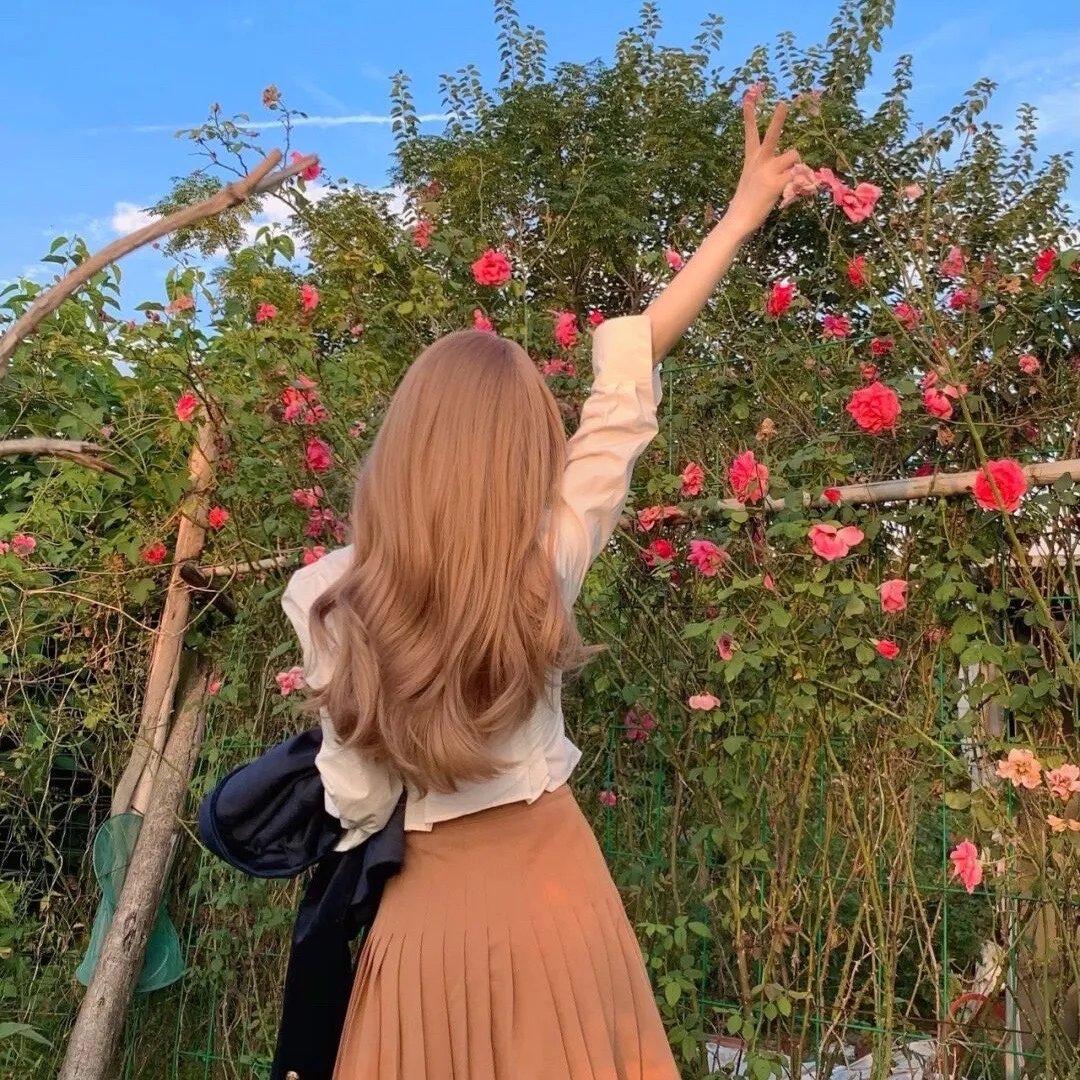 网美嬉游记